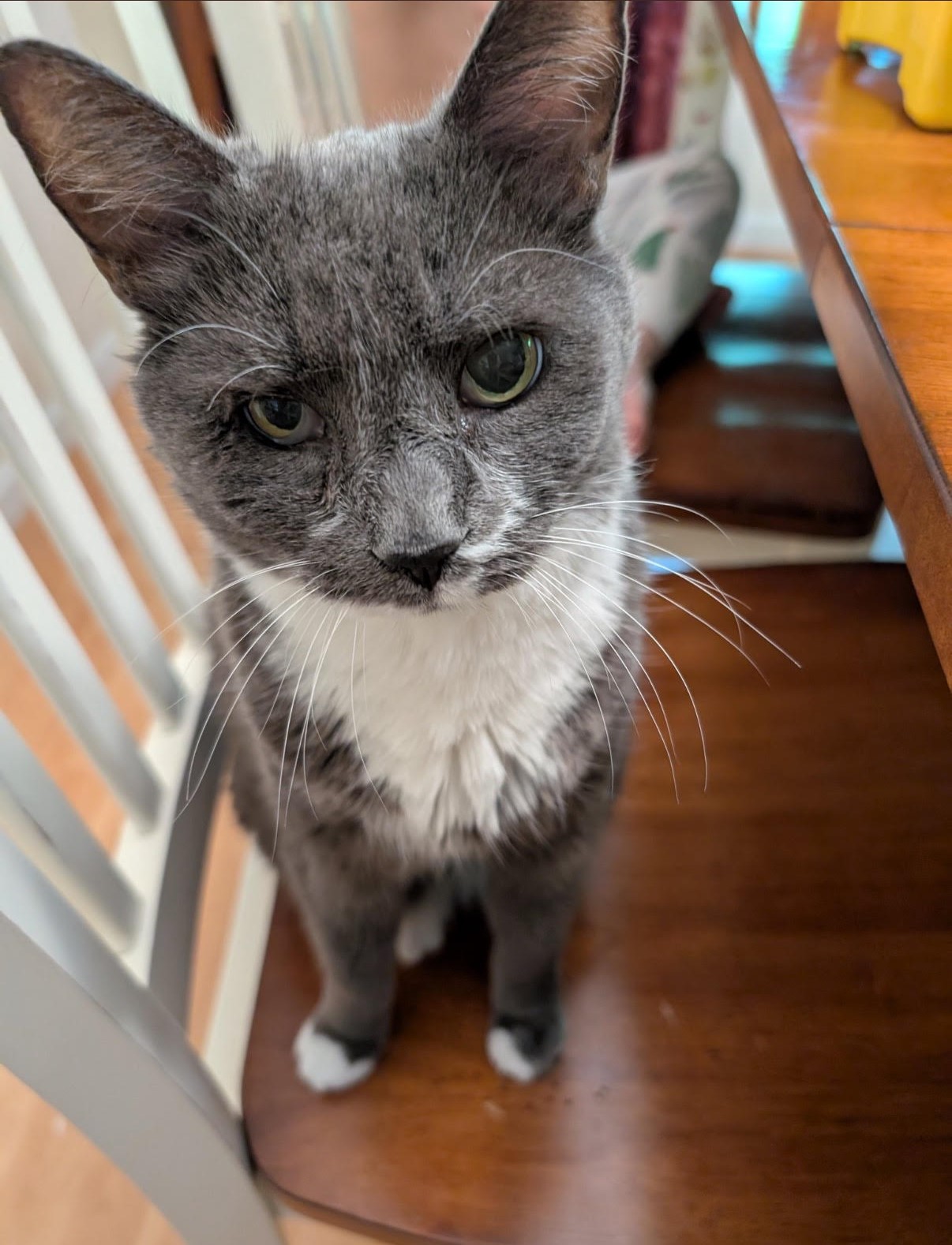 Gaming/Gambling | The 15